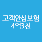 안심보험