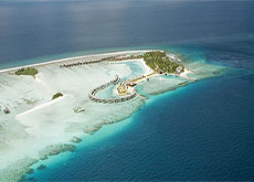 차야 아일랜드 돈벨리