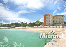 마이크로텔