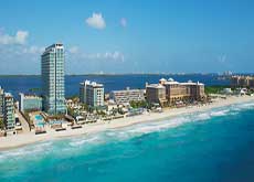 시크릿 더 바인